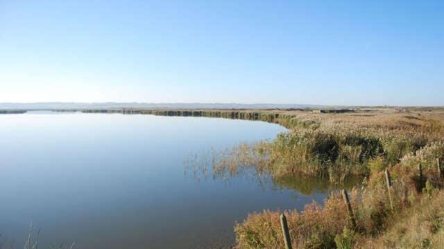 Tiny Bikini, Ault, Baie De Somme, 200 M De La Hébergement de vacances *